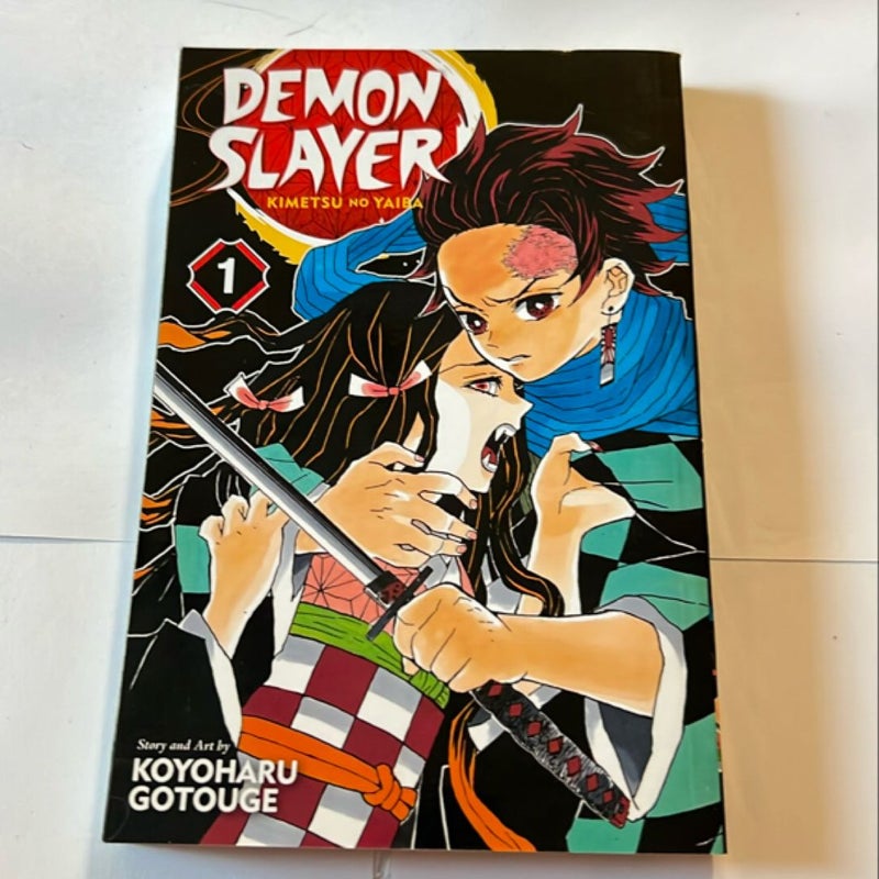 Demon Slayer: Kimetsu No Yaiba, Vol. 1