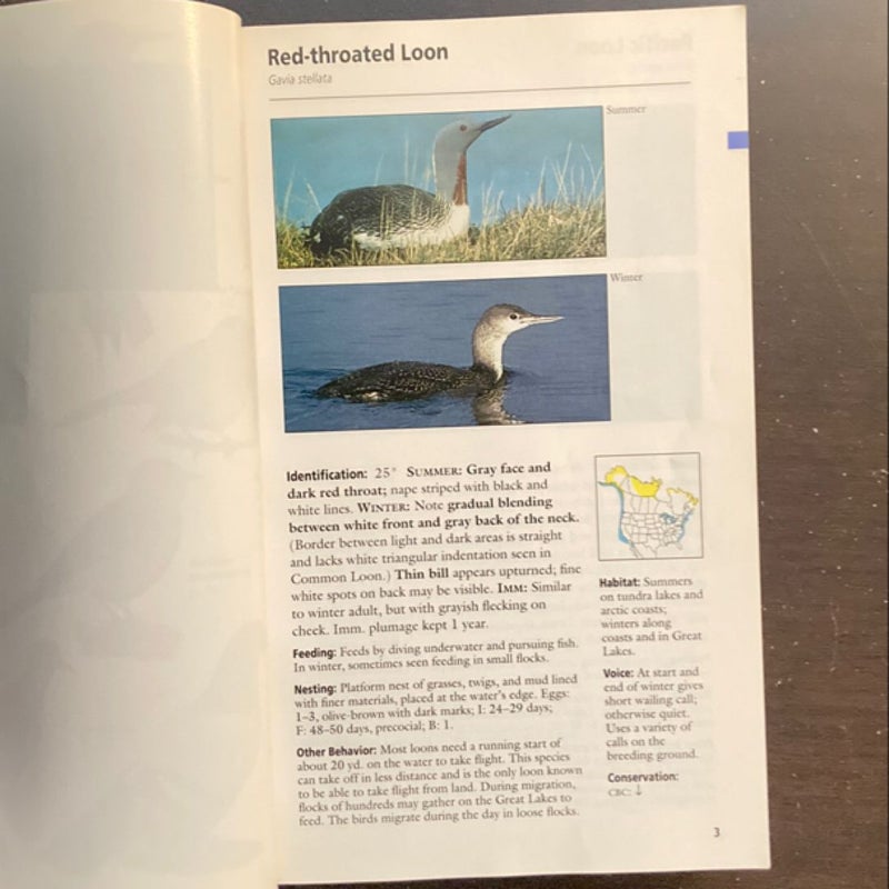 Stokes Field Guide to Birds