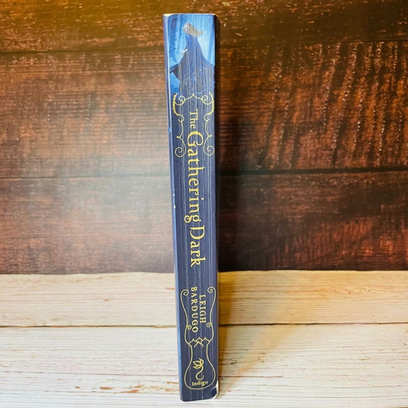 RARE Signed The Gathering Dark Leigh Bardugo Shadow and Bone 