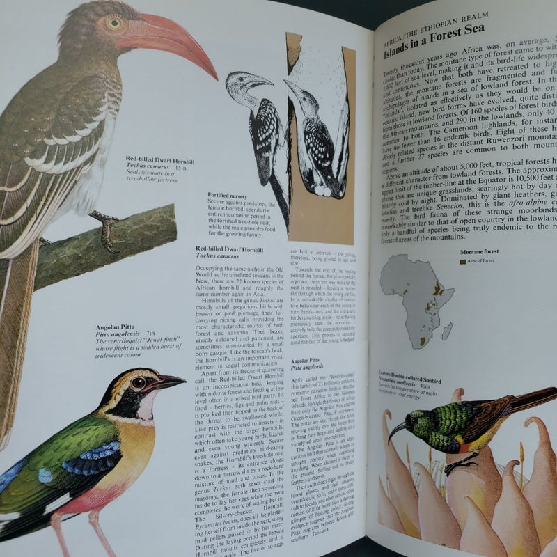 The World Atlas of Birds