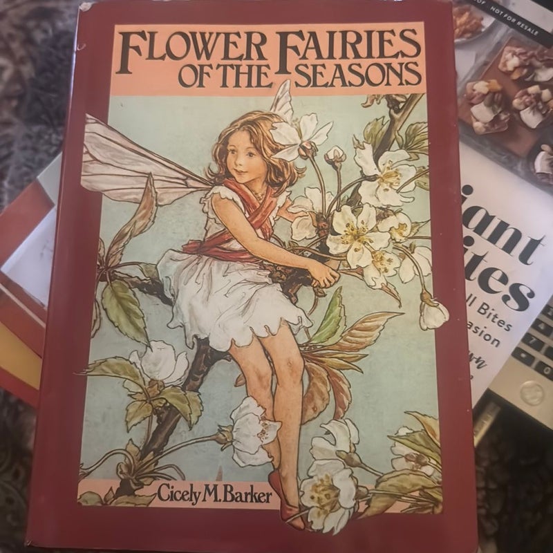 Flower Fairies Of The Seasons