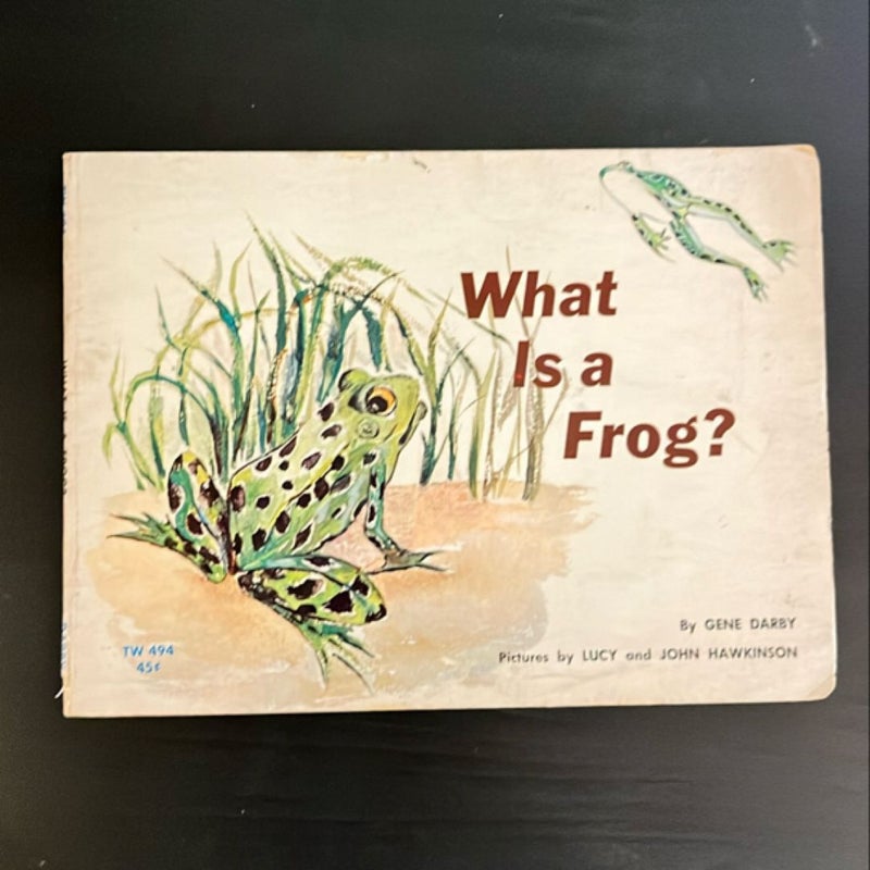 What is a Frog?