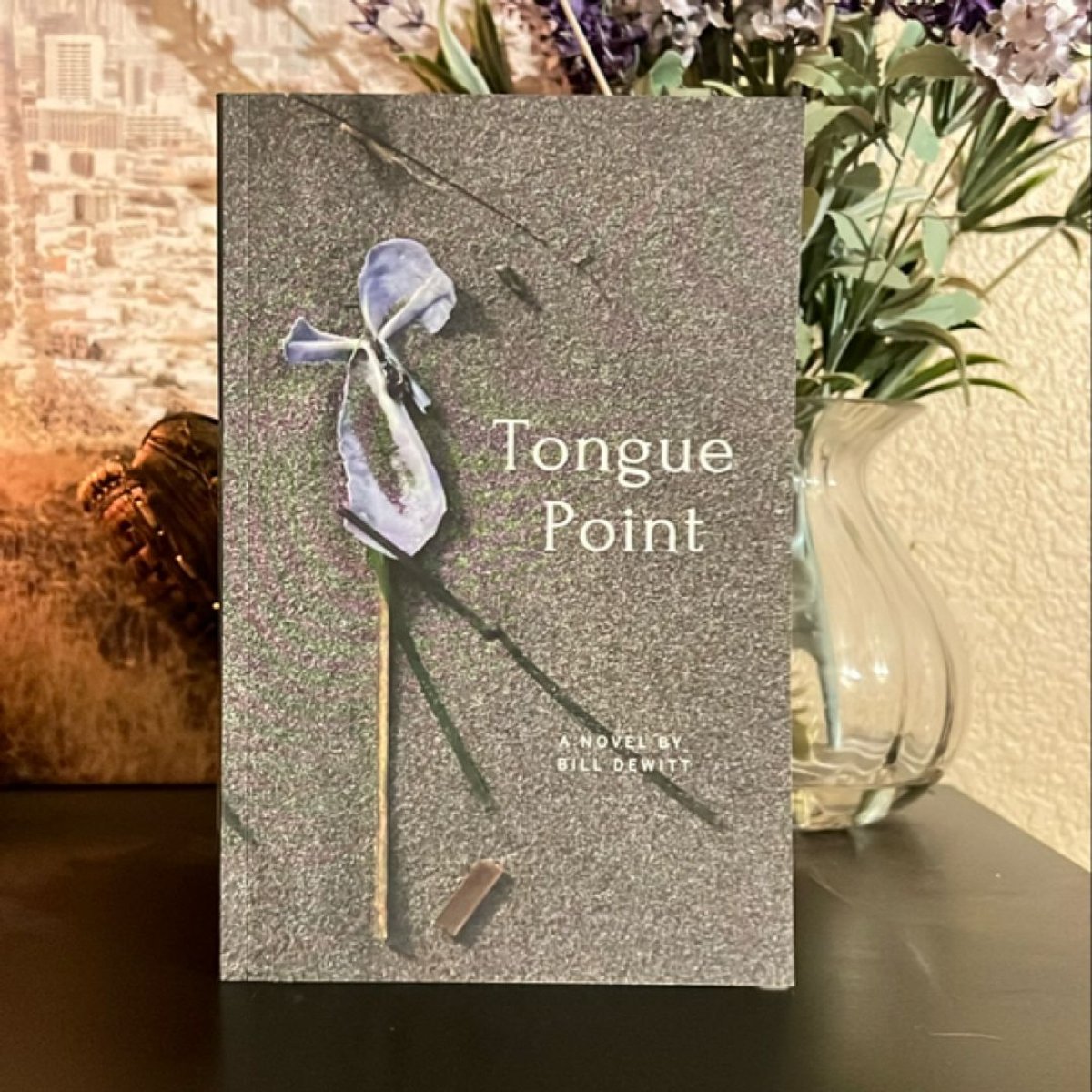 Tongue Point by Bill DeWitt