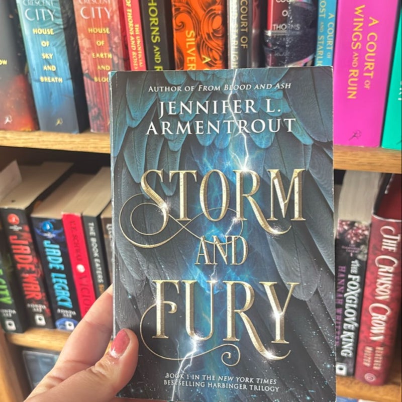 Storm and Fury