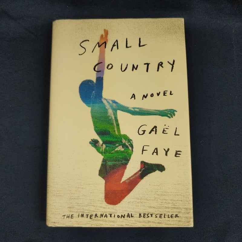 Small Country (First US ed)