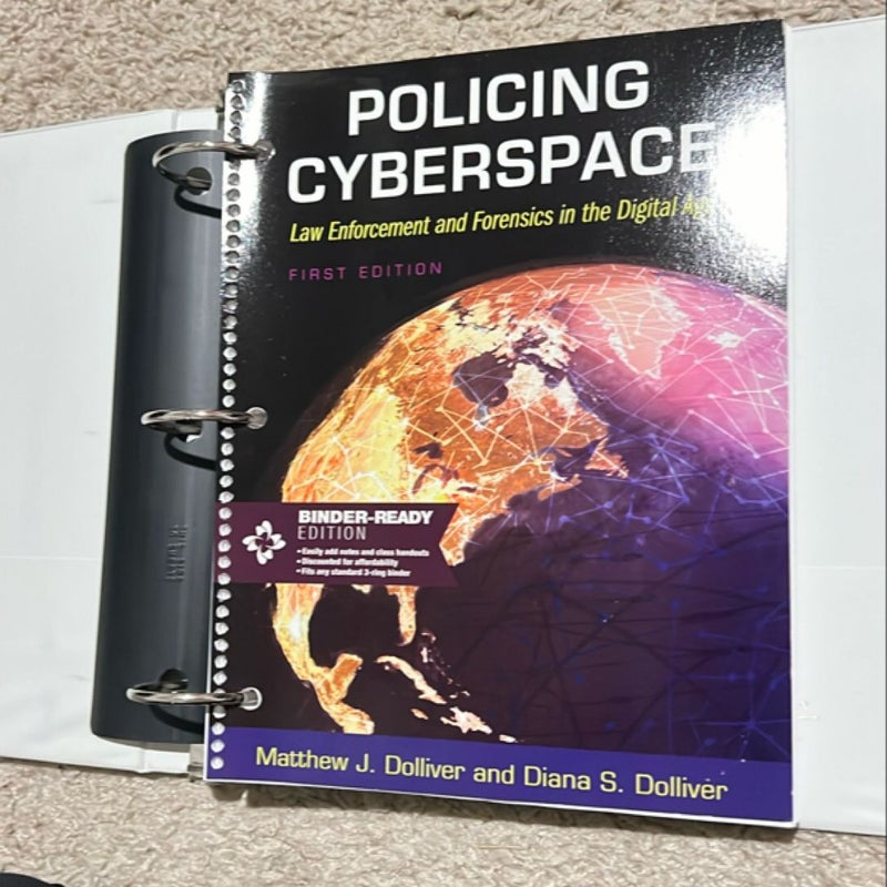 Policing Cyberspace