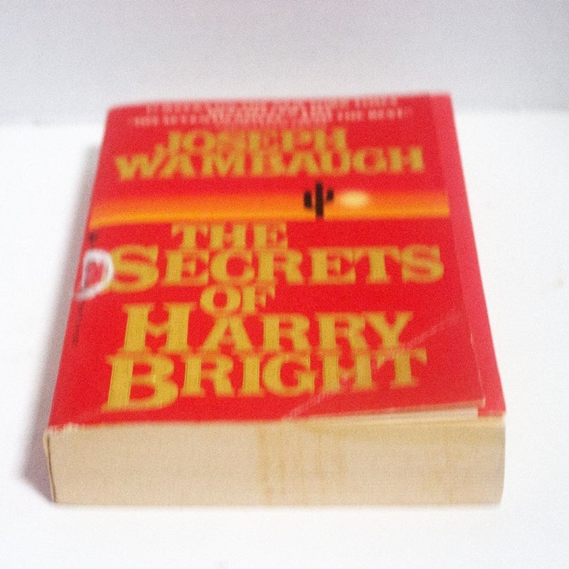 The Secrets of Harry Bright