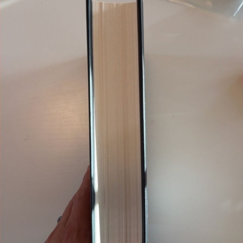 Quicksilver (Standard Edition) by , Hardcover | Pangobooks