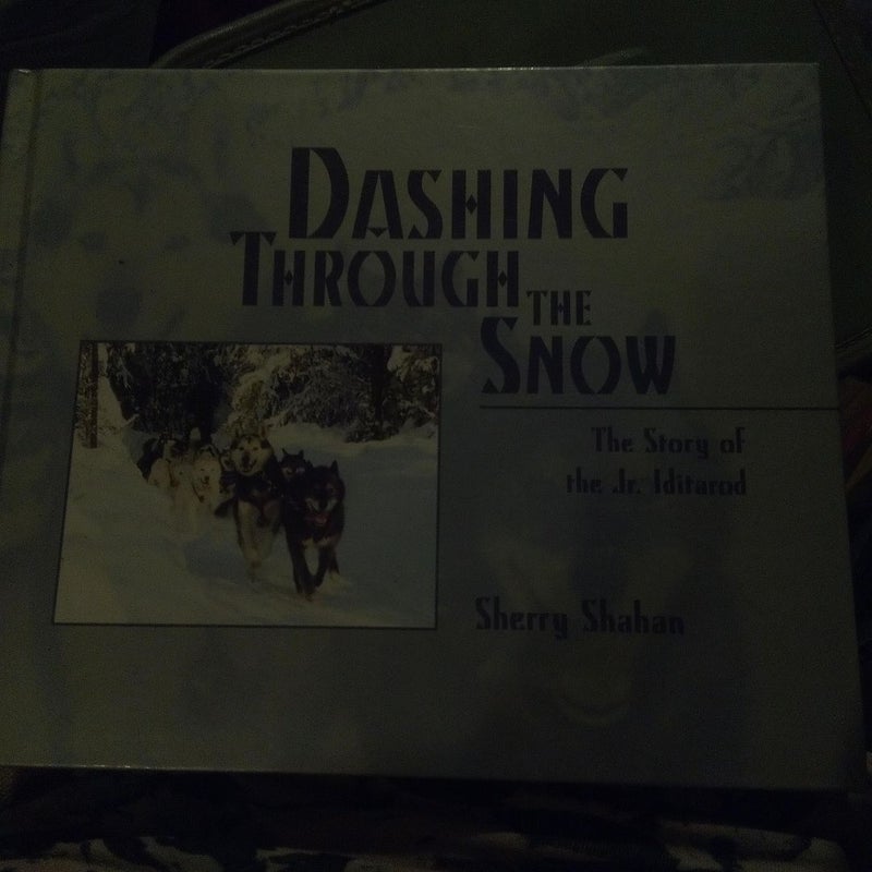 Dashing Through the Snow