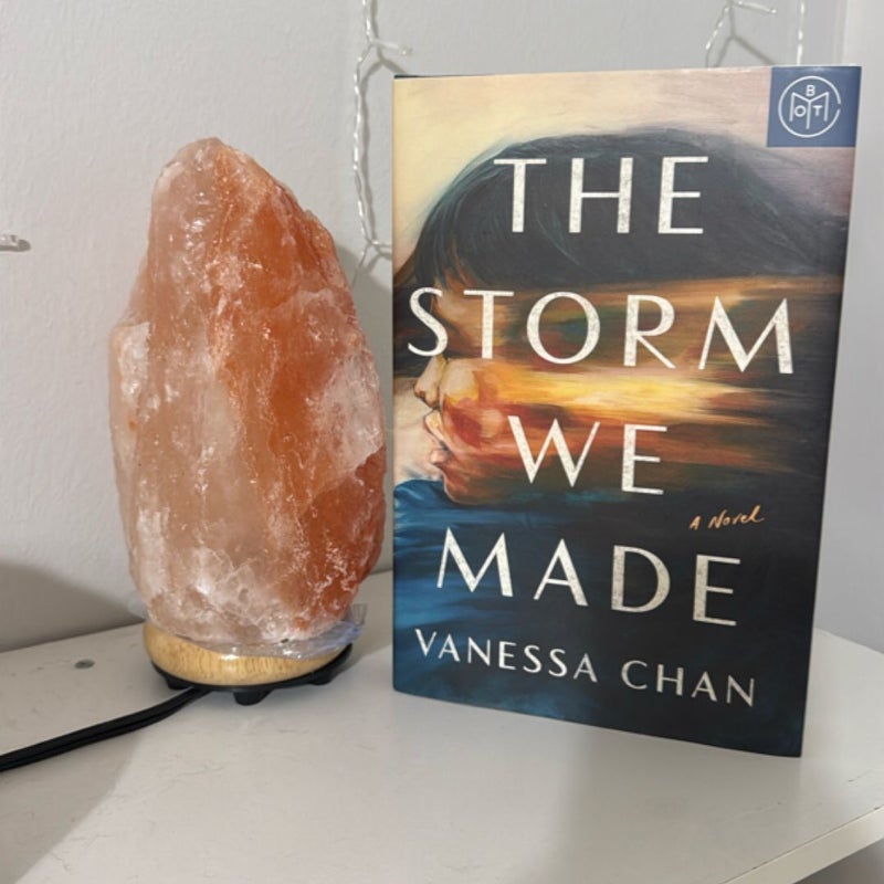 The Storm We Made