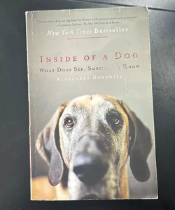 Inside of a Dog