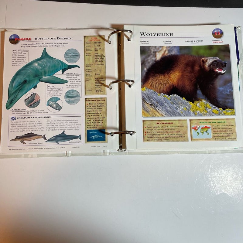 Wildlife Explorer Group 1 2 3 4 5 6 7 8 Science 360 Cards Home School 2024 Animals