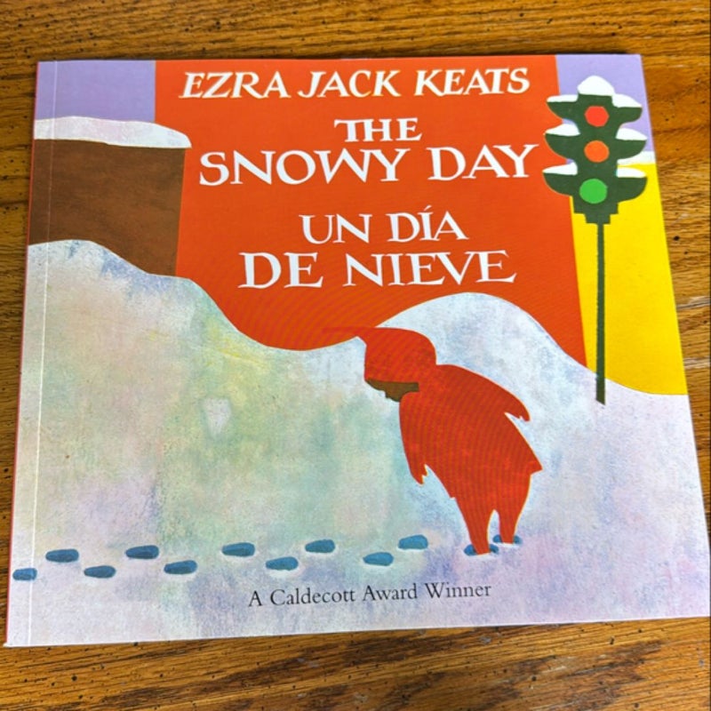 Snowy Day