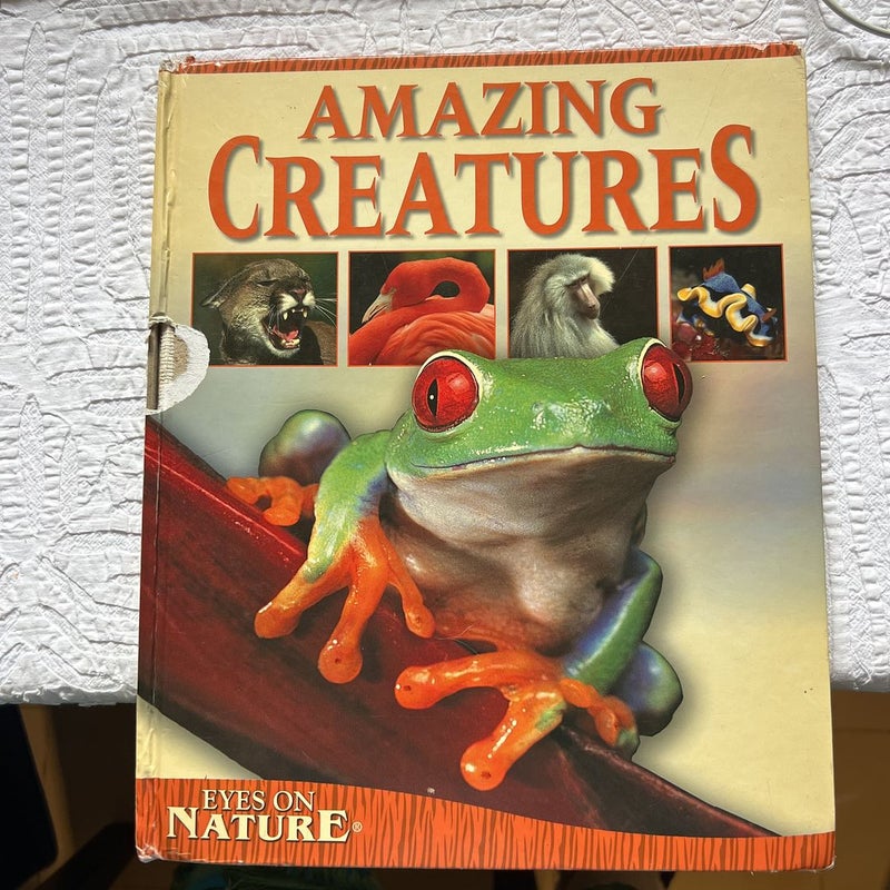 Amaizing creatures 