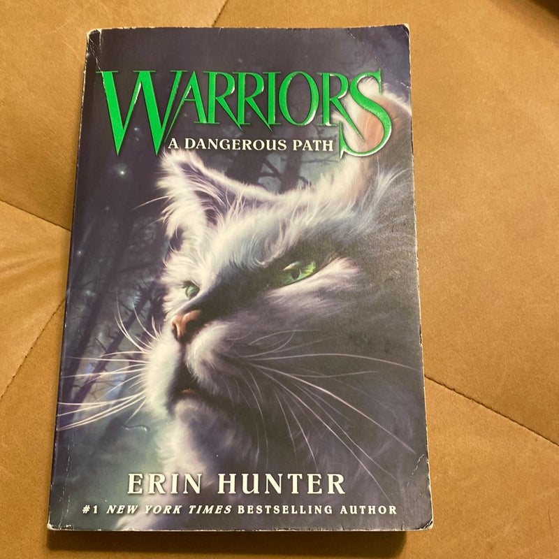 Warriors A Dangerous Path Book