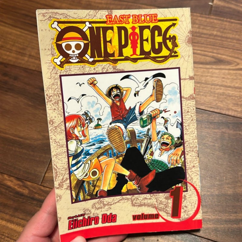 One Piece, Vol. 1