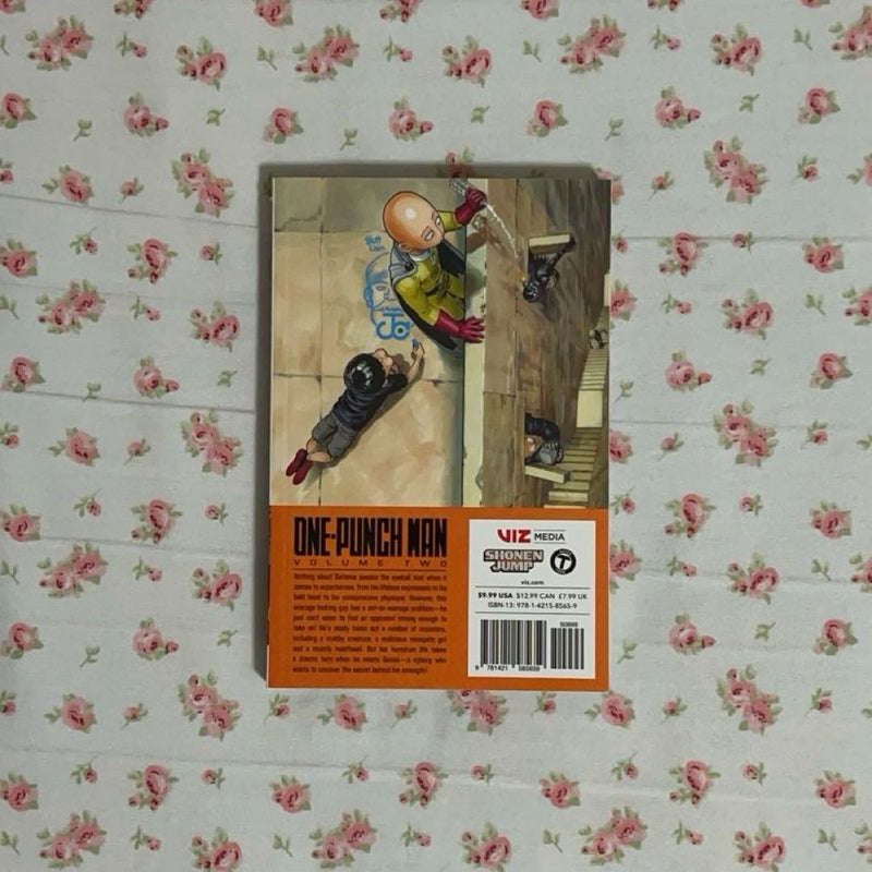 One-Punch Man, Vol. 2