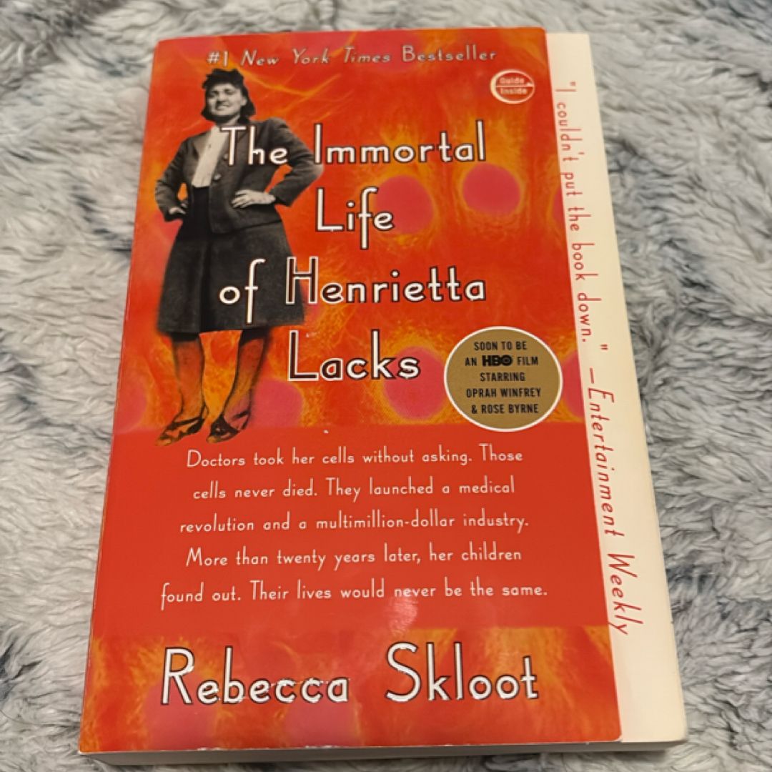 Sale image for 3113b221-e750-4495-ae37-c4dfd3935b84-MgcXroUxR6SIVX9OFtWbGqyO0PI3