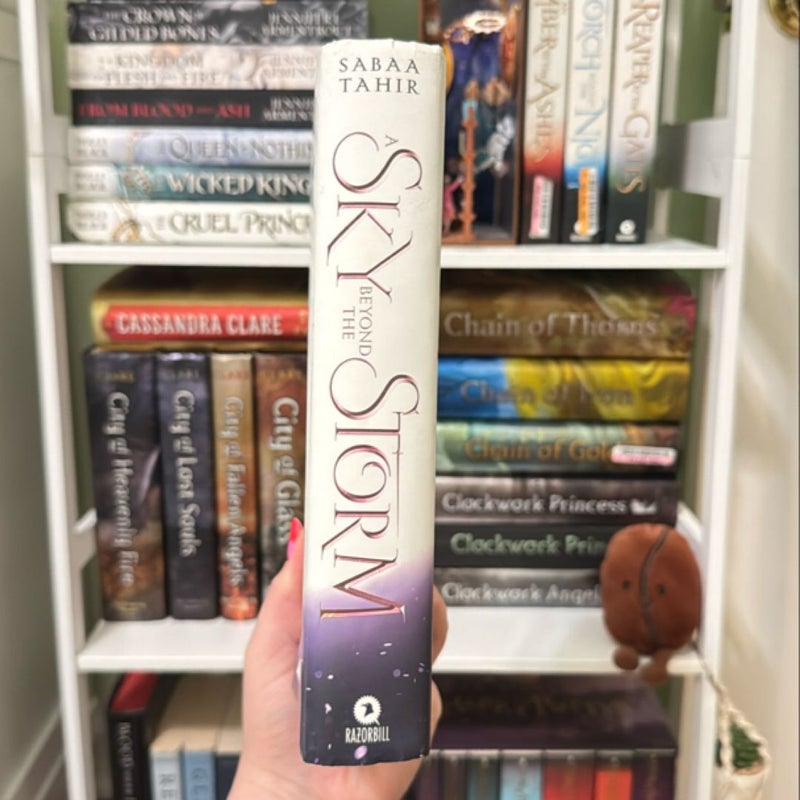 A Sky Beyond the Storm