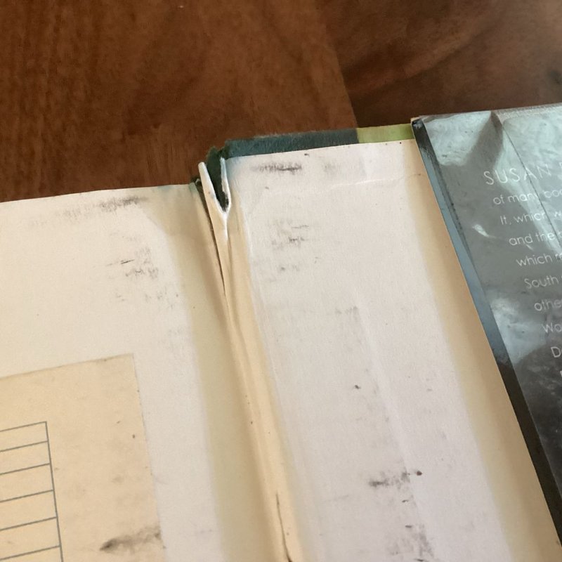 The Dead and the Gone