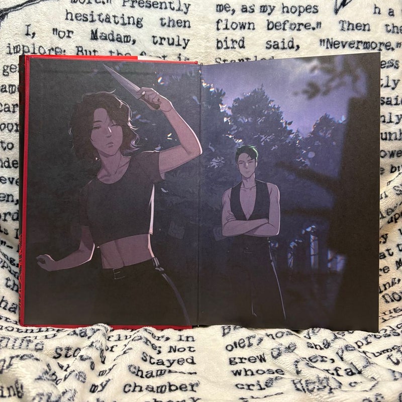 Cruel Illusions: Fairyloot Edition (slight damage, see all photos)