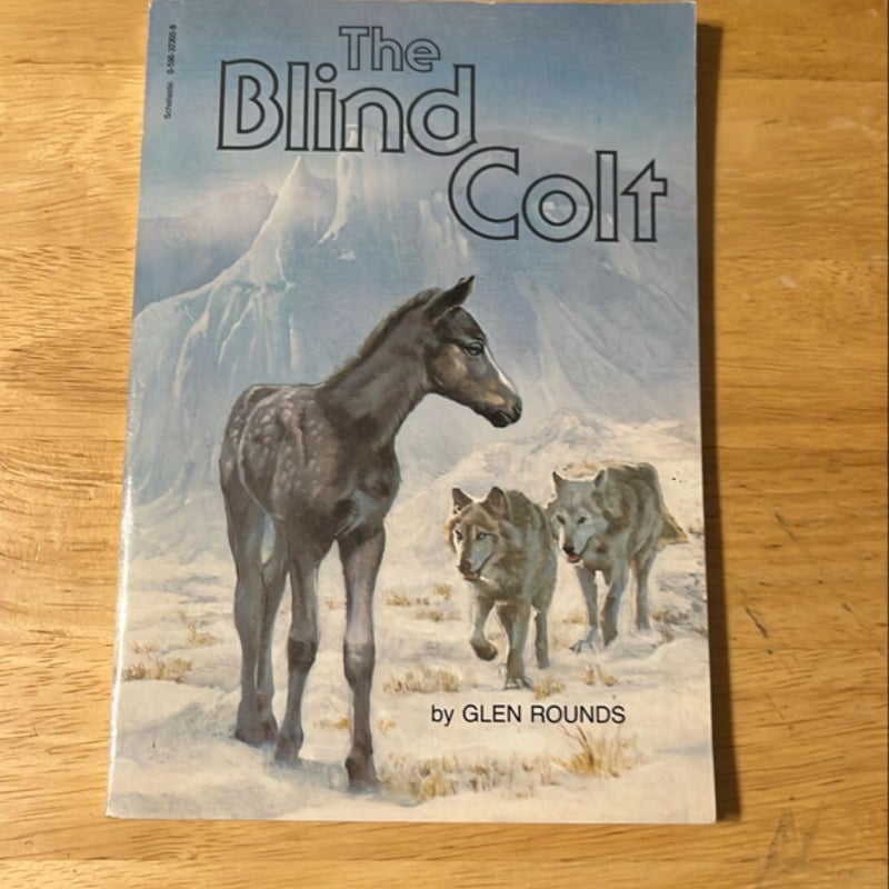 The Blind Colt