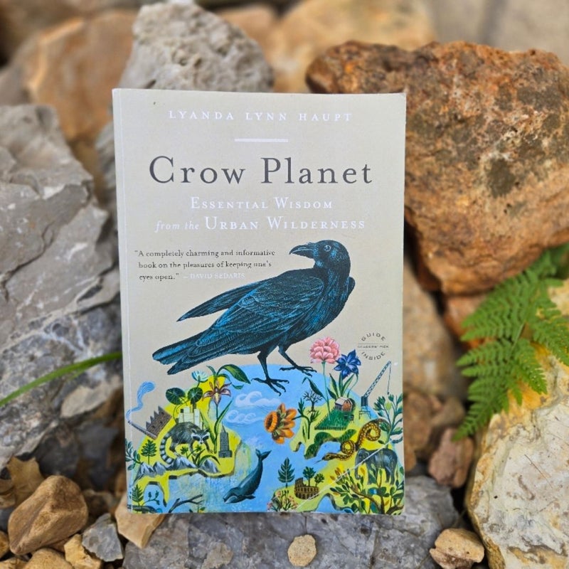 Crow Planet