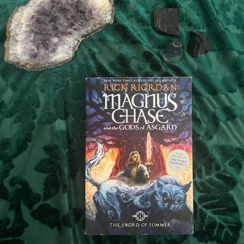 Magnus Chase and the Gods of Asgard Book 1 the Sword of Summer (Magnus Chase and the Gods of Asgard Book 1)