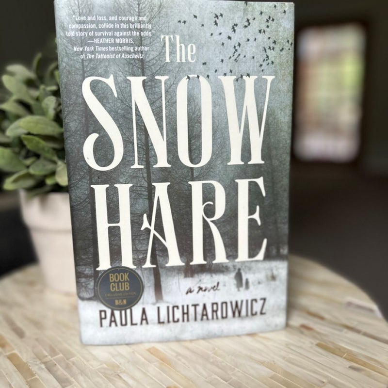 The Snow Hare