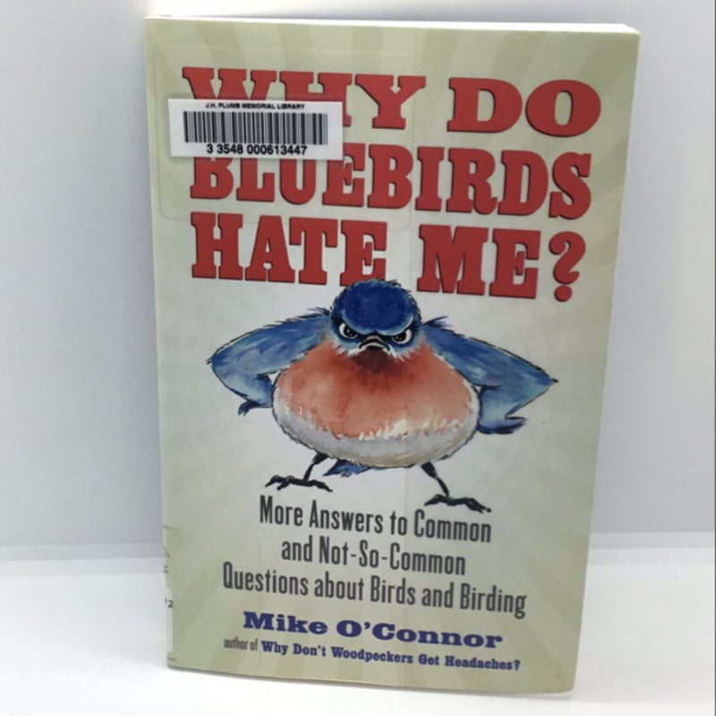 Why Do Bluebirds Hate Me?