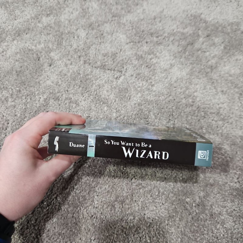 So You Want to Be a Wizard