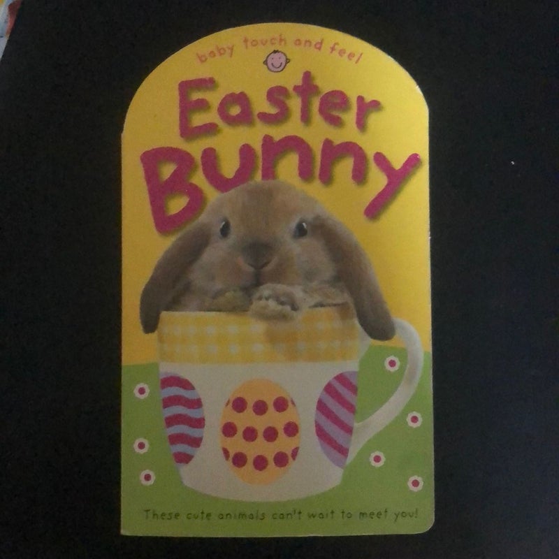 Set of 2 Board Books including Baby Touch and Feel Easter Bunny