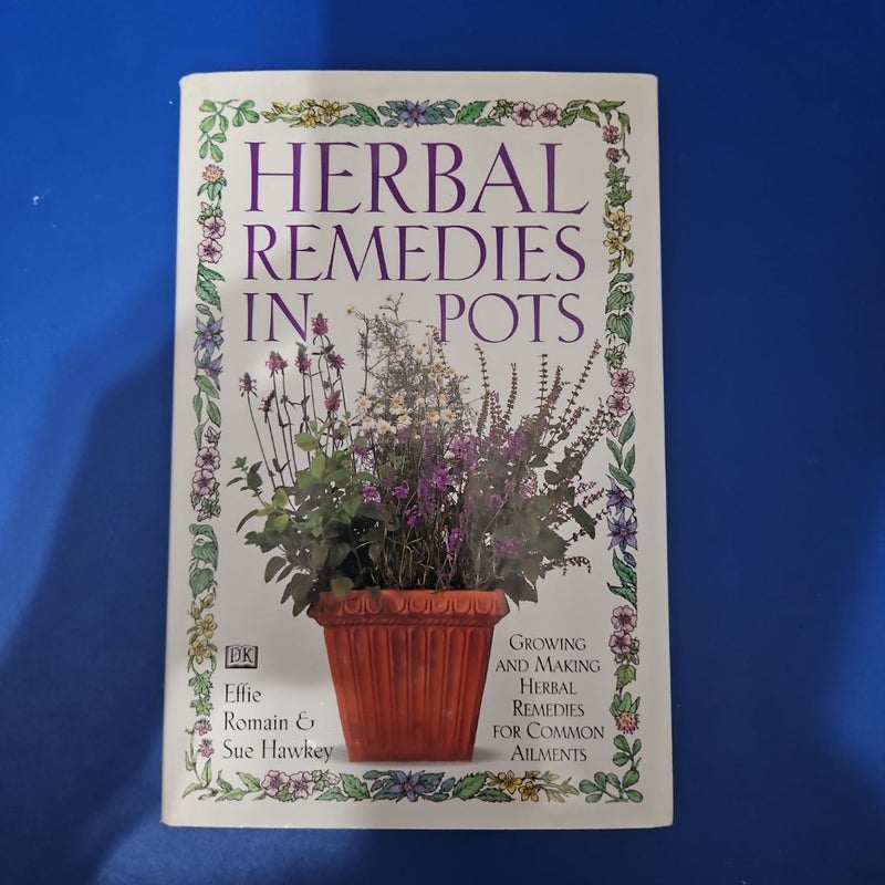 Herbal Remedies in Pots