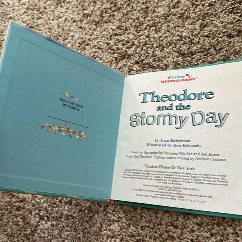 Theodore and the stormy day 