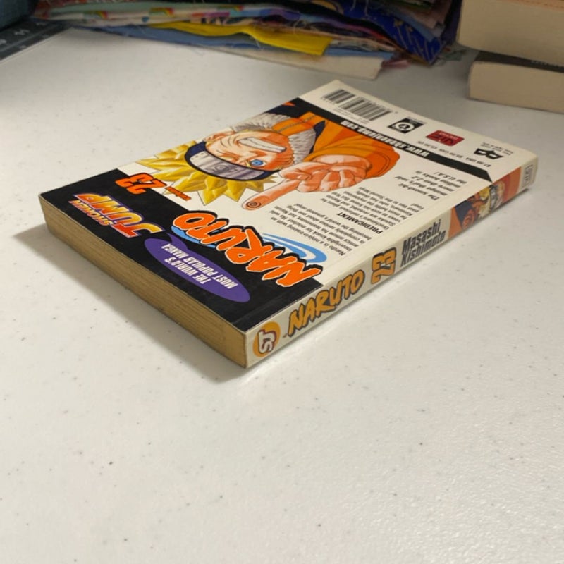 Naruto, Vol. 23