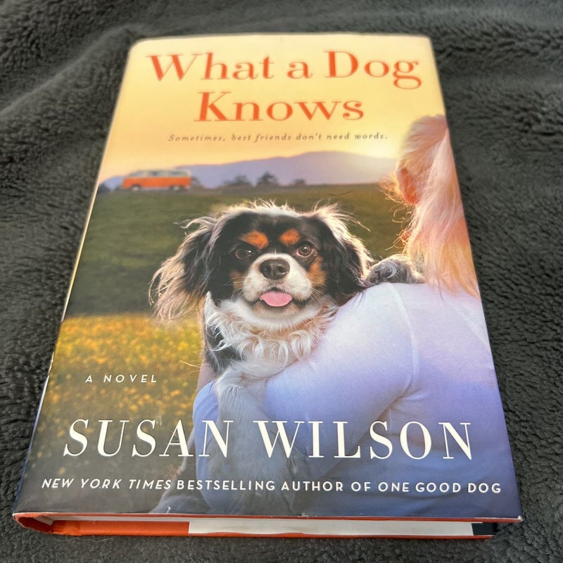 What a Dog Knows