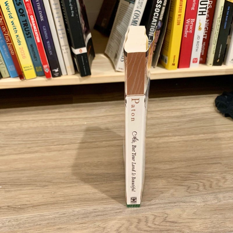 Ah, but Your Land Is Beautiful