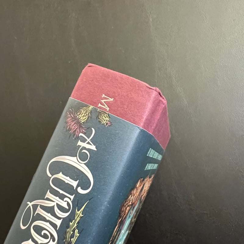 A Curious Kind of Magic + art prints + stickers