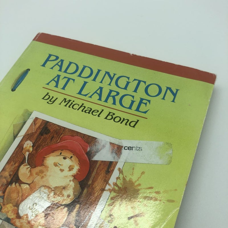 Paddington at Large
