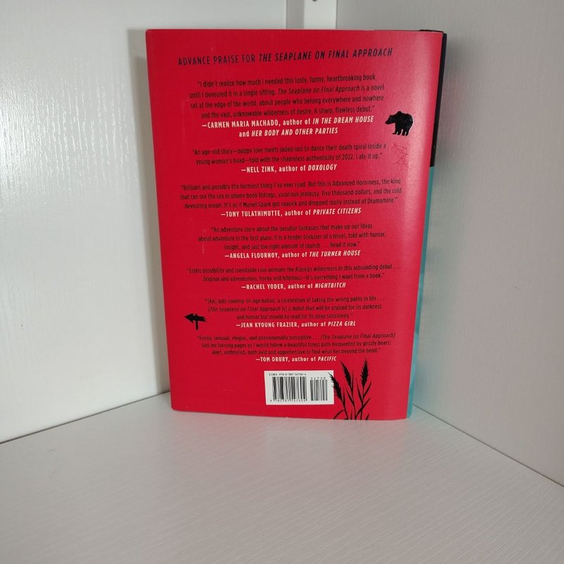 The Seaplane on Final Approach