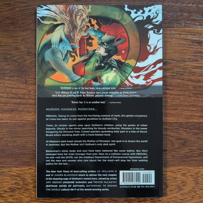 Batwoman Vol. 2: to Drown the World (the New 52)