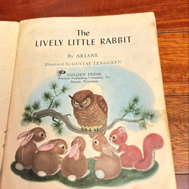 The Lively Little Rabbit