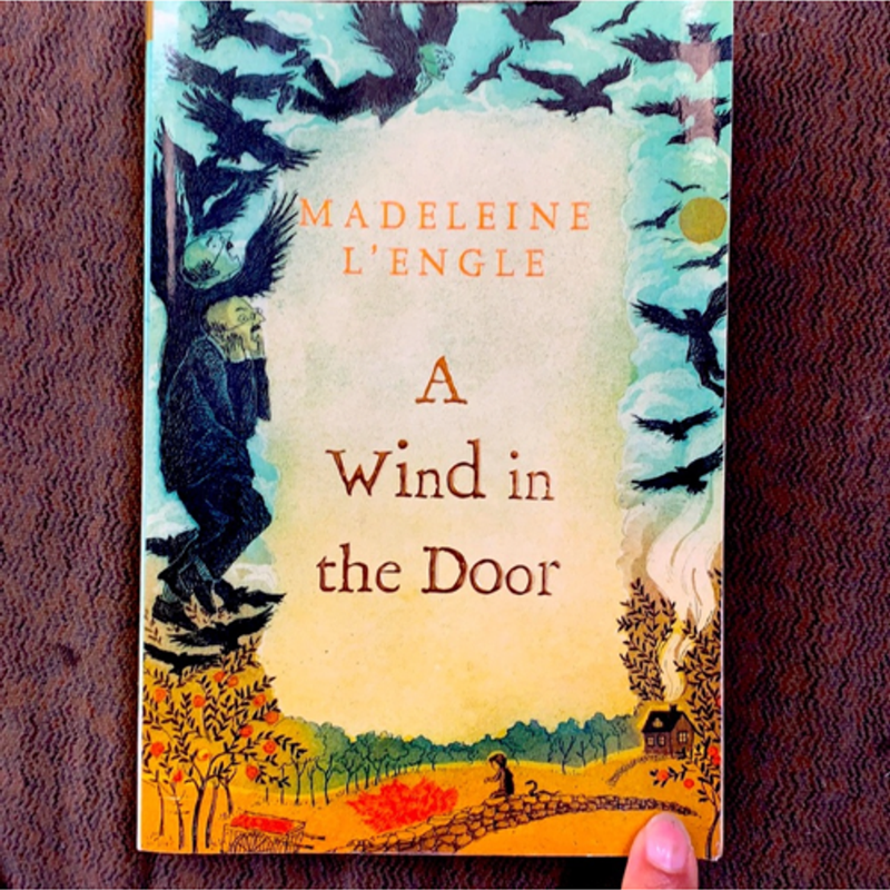 A Wind in the Door