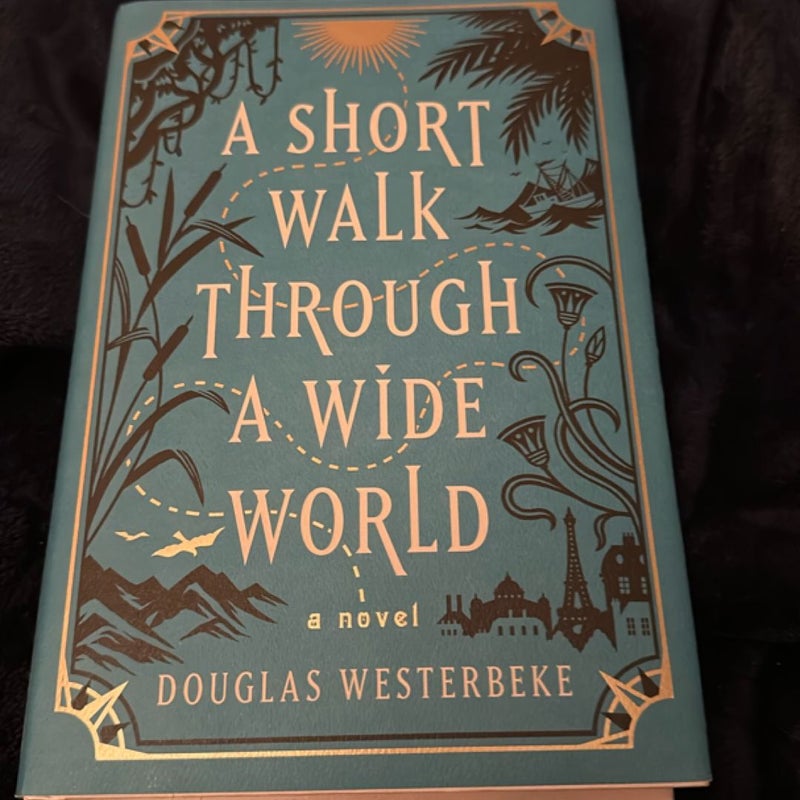 A Short Walk Through a Wide World
