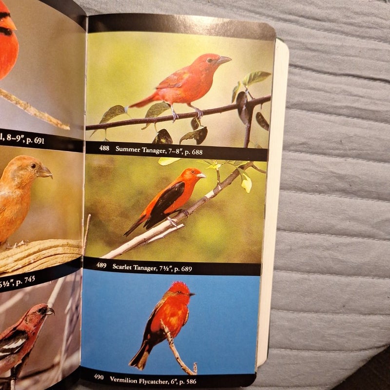 National Audubon Society Field Guide to North America