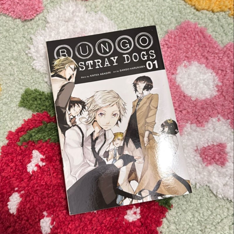 Bungo Stray Dogs, Vol. 1