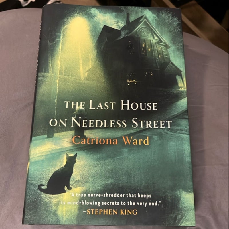 The Last House on Needless Street