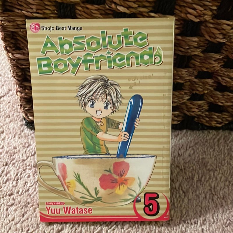 Absolute Boyfriend, Vol. 5