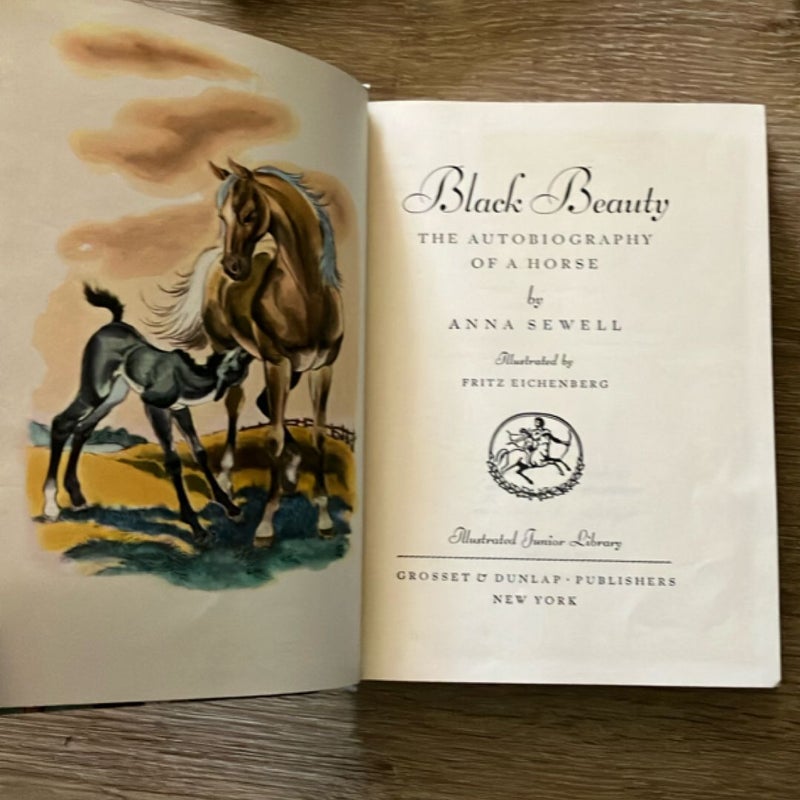 Black Beauty (Vintage 1945)