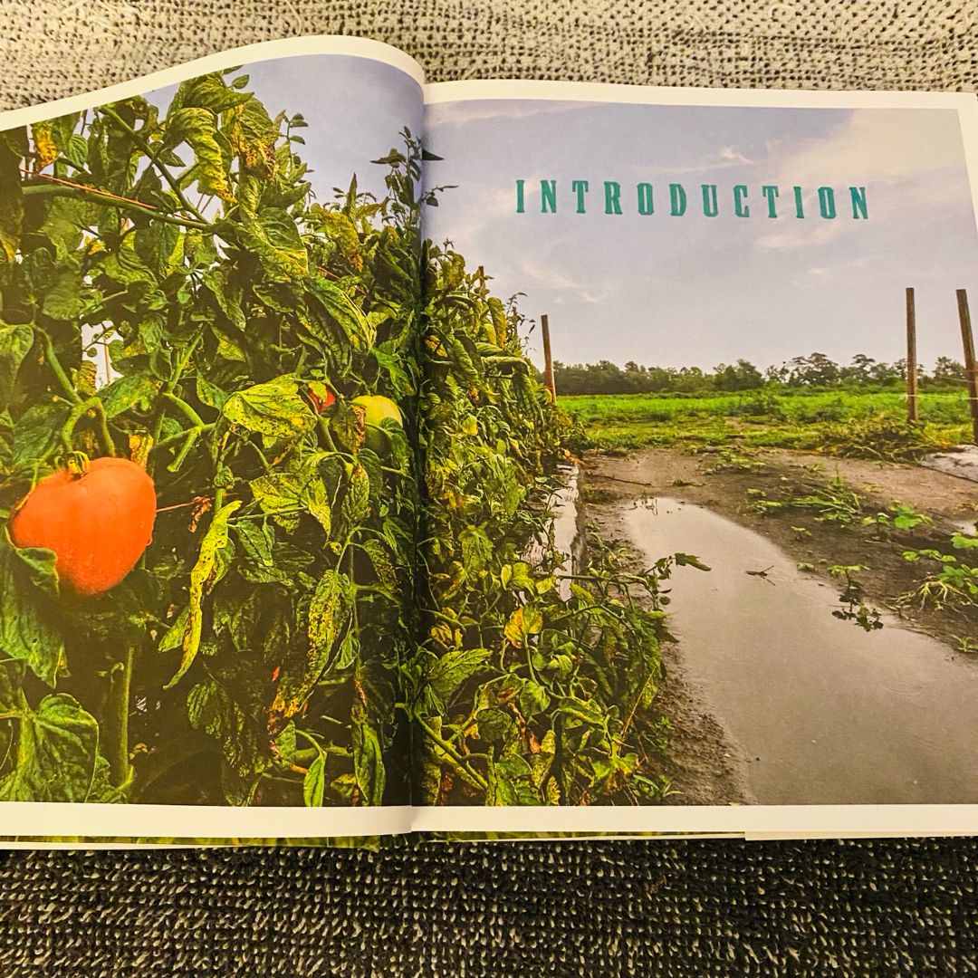 Deep Run Roots by Vivian Howard